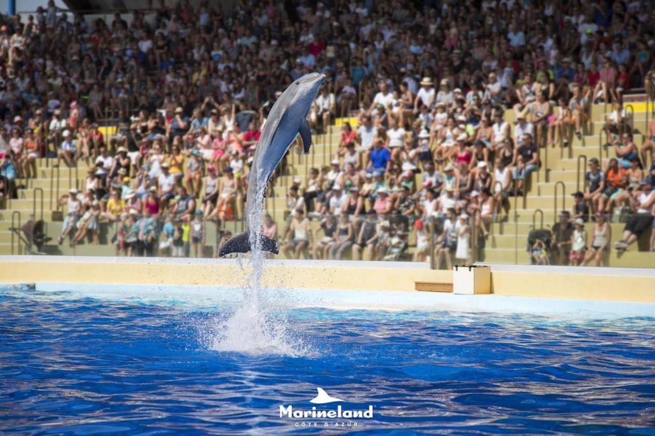 Appartement Marineland Sea View Αντίμπ Εξωτερικό φωτογραφία