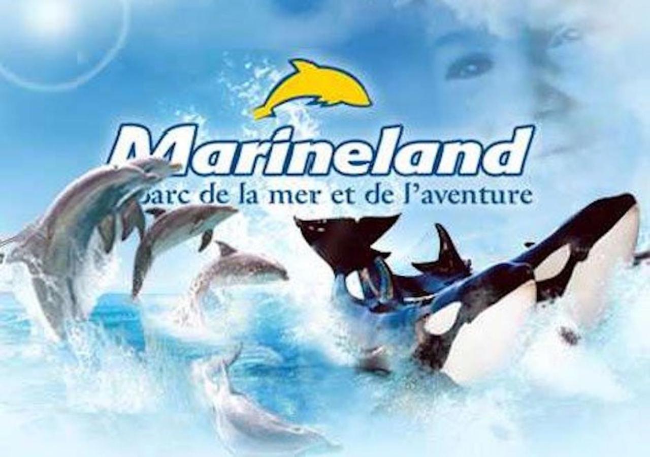 Appartement Marineland Sea View Αντίμπ Εξωτερικό φωτογραφία